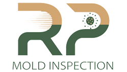 Mold Inspection